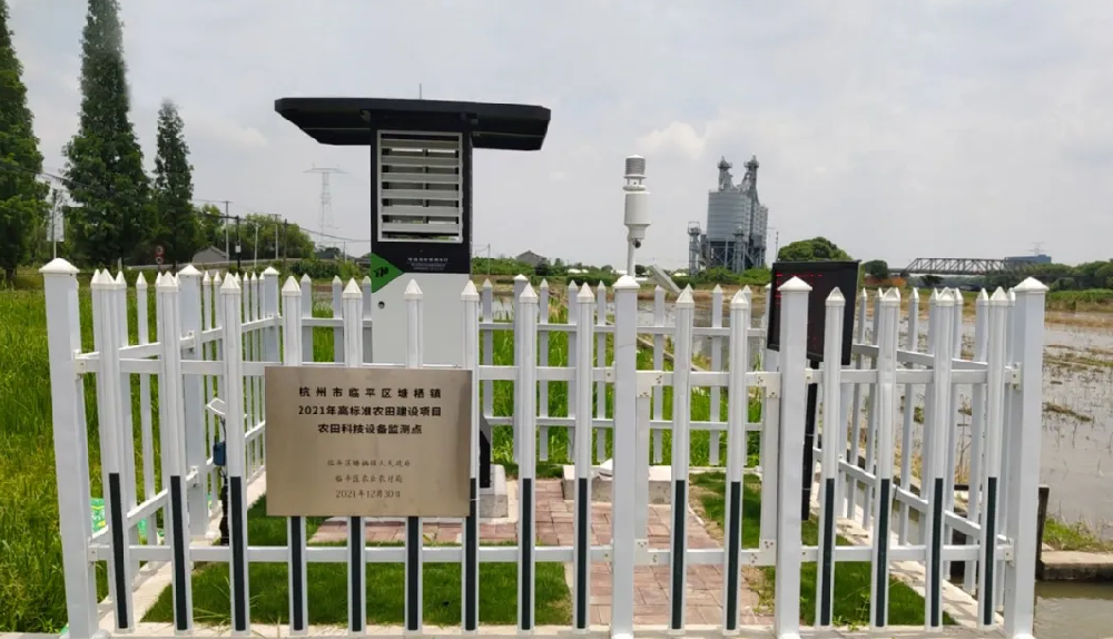 聽(tīng)說(shuō)，現(xiàn)在流行這樣種田