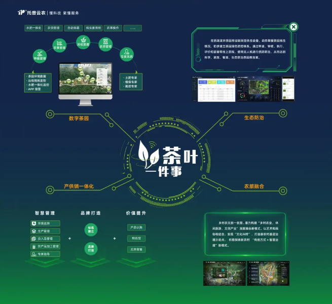 數(shù)字茶園案例 | “數(shù)字”賦能茶產(chǎn)業(yè)，“茶葉一件事”續(xù)寫(xiě)中國(guó)茶發(fā)展新模式