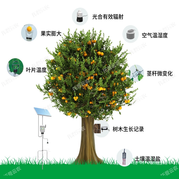 植物生理生態(tài)環(huán)境監(jiān)測系統(tǒng)
