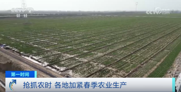 心系糧安、山田無阻、服務(wù)有恒|托普云農(nóng)2025年智能裝備巡檢服務(wù)全面啟動(dòng)