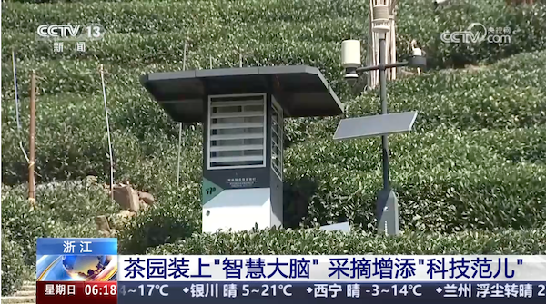 央視、人民網(wǎng)等權(quán)威媒體聚焦西湖龍井：托普云農(nóng)“黑科技”點(diǎn)亮千年茶香智變之路