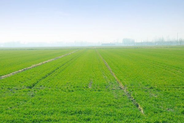 科技賦能春耕，托普云農(nóng)智慧農(nóng)情監(jiān)測站再獲央視關注