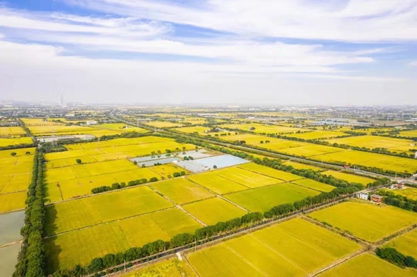 未來(lái)農(nóng)場(chǎng)案例 | 海寧馬橋：在萬(wàn)畝良田有你看得到的未來(lái)