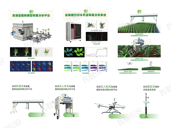 AI+農(nóng)業(yè)新突破！托普高通量植物表型智能分析平臺助力智慧農(nóng)業(yè)創(chuàng)新發(fā)展