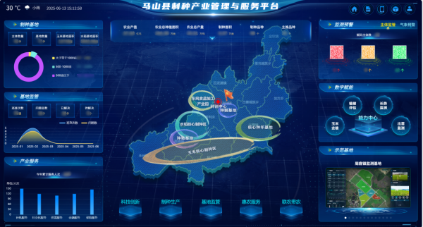 AI+農(nóng)業(yè) | 當(dāng)種子植入“數(shù)智芯片”，馬山縣打造制種基地新標(biāo)桿