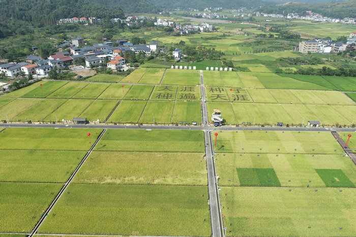 現(xiàn)代種業(yè)園區(qū)綜合解決方案