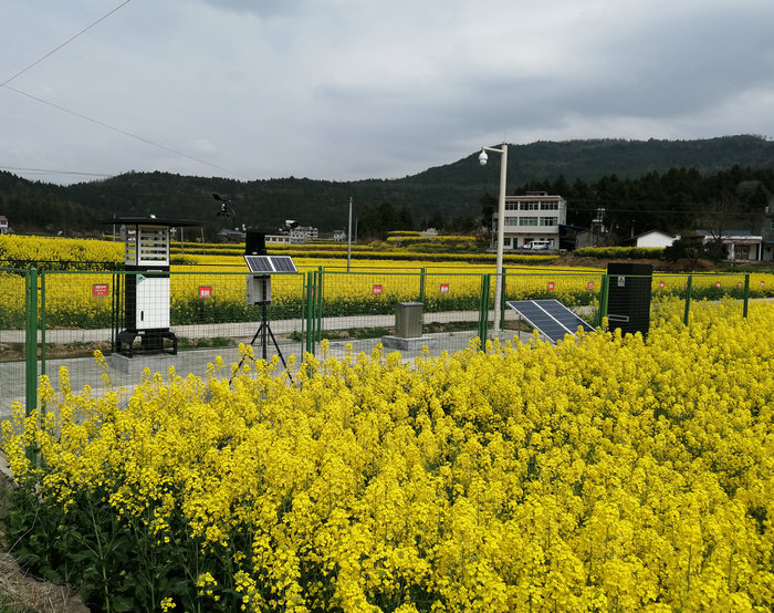 農(nóng)業(yè)(農(nóng)林)四情監(jiān)測(cè)系統(tǒng)